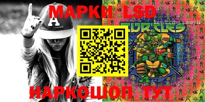 шишки Новозыбков
