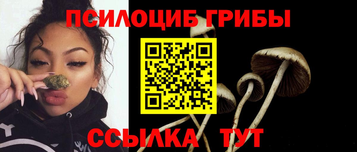 Галлюциногенные грибы Psilocybe Заречный
